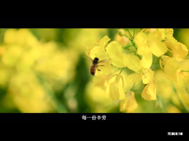 格式工厂混流 丹棱最美劳动者4.mp4_20220208_164324.036.jpg