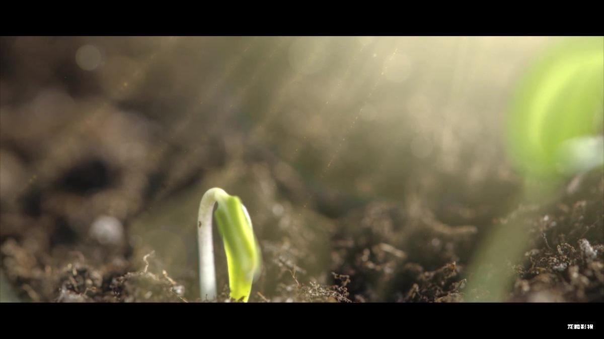 Image8.jpg Image8.jpg