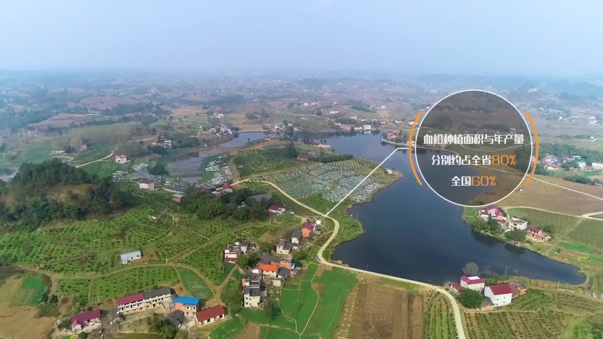 Image127.jpg Image127.jpg