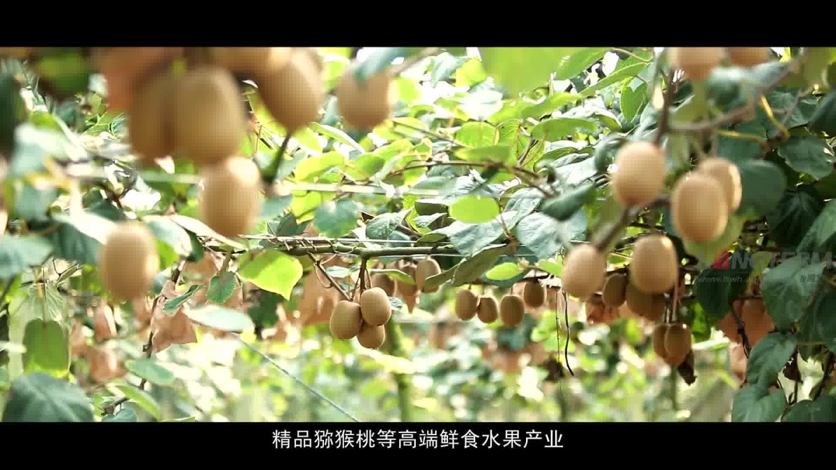 Image88.jpg Image88.jpg