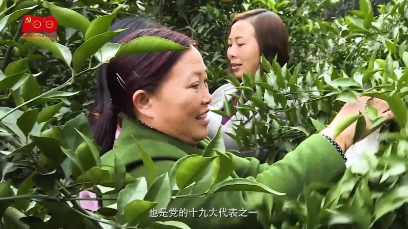 Image1146.jpg Image1146.jpg