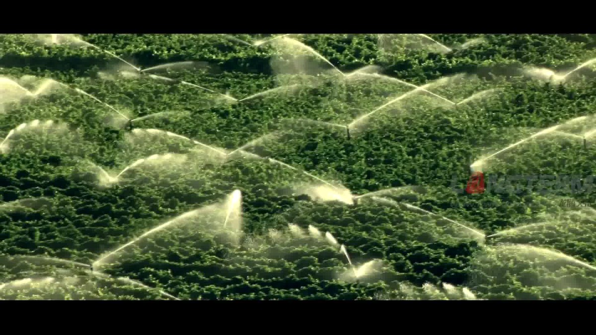 Image376.jpg Image376.jpg