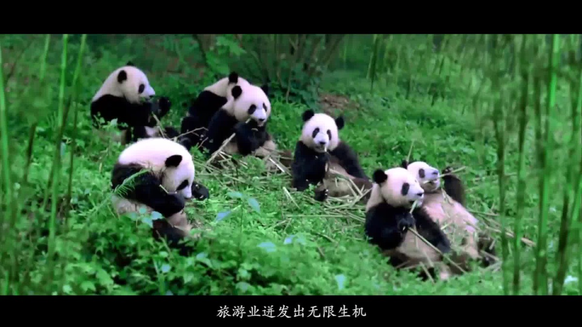 Image9.jpg Image9.jpg