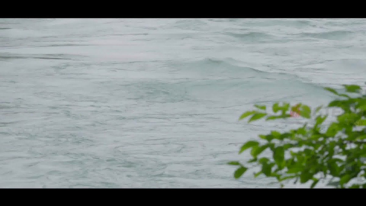 Image54 (2).jpg Image54 (2).jpg