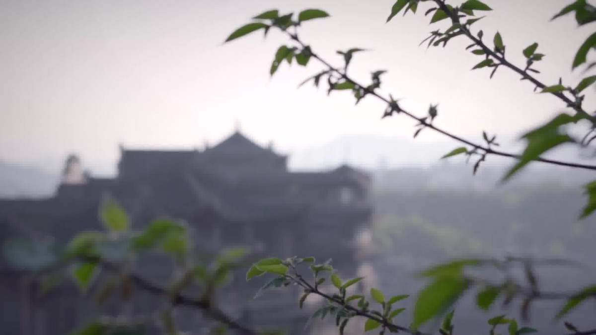 Image722.jpg Image722.jpg