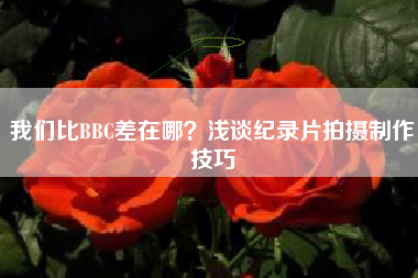 我们比BBC差在哪？浅谈纪录片拍摄制作技巧