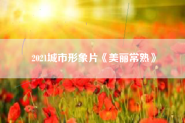 2021城市形象片《美丽常熟》