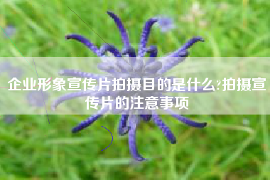 企业形象宣传片拍摄目的是什么?拍摄宣传片的注意事项