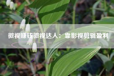 微视赚钱微视达人:靠影视剪辑盈利 微视赚钱微视达人:靠影视剪辑盈利