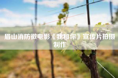 眉山消防微电影《我和你》宣传片拍摄制作