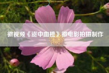 微视频《资中血橙》微电影拍摄制作