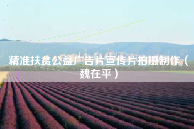 精准扶贫公益广告片宣传片拍摄制作（魏在平