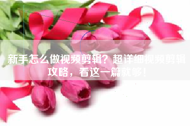 新手怎么做视频剪辑？超详细视频剪辑攻略，看这一篇就够！
