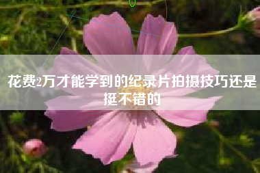 花费2万才能学到的纪录片拍摄技巧还是挺不错的