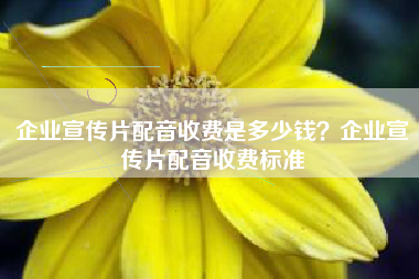 企业宣传片配音收费是多少钱？企业宣传片配音收费标准