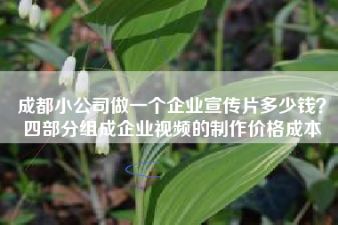 成都小公司做一个企业宣传片多少钱？四部分组成企业视频的制作价格成本