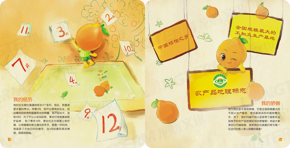 丹棱不知火手自荐书手绘画册设计