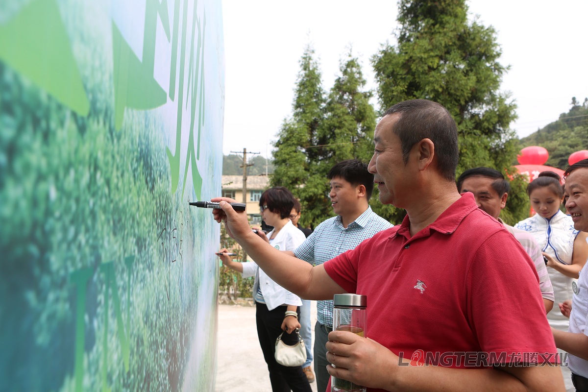 后山茶文化节活动策划与执行