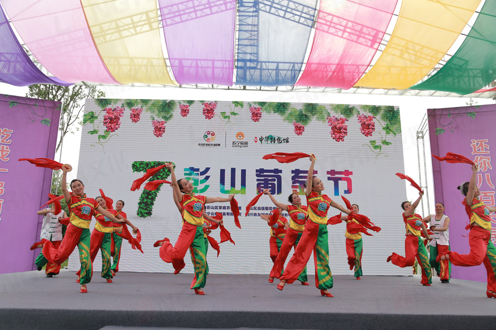 彭山葡萄节活动策划_葡萄节活动_城市节日活动策划_地方特色活动策划