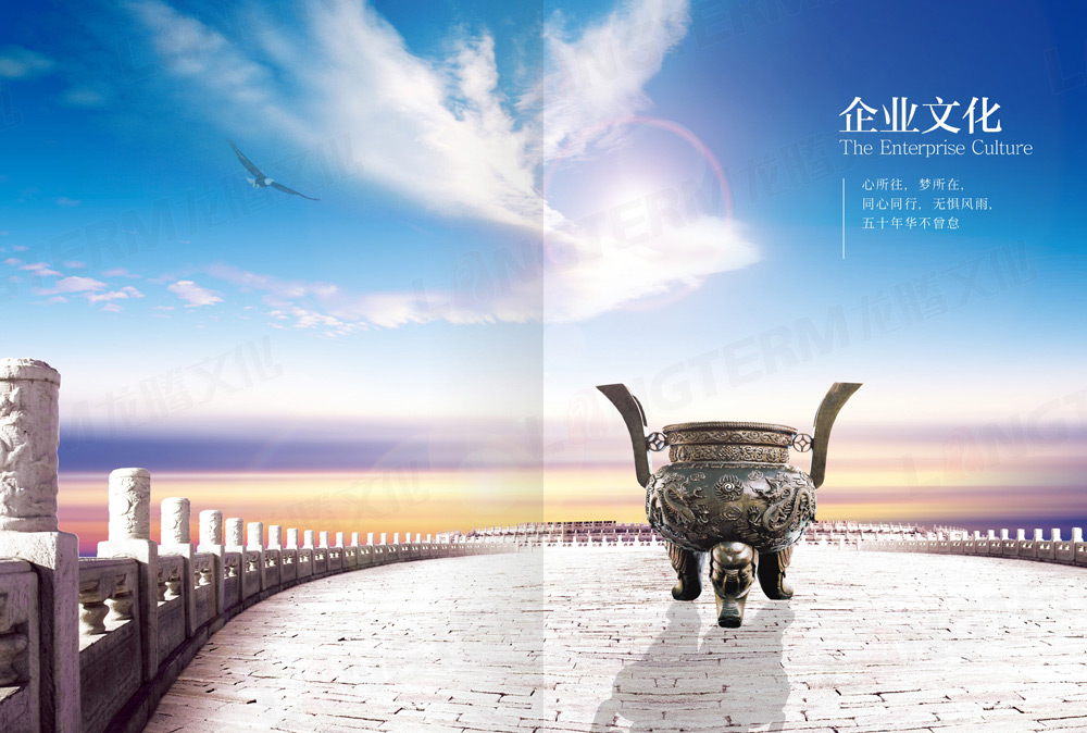 四川永星电子50周年纪念画册设计