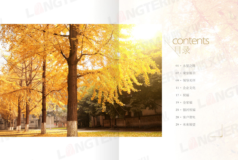 四川永星电子50周年纪念画册设计