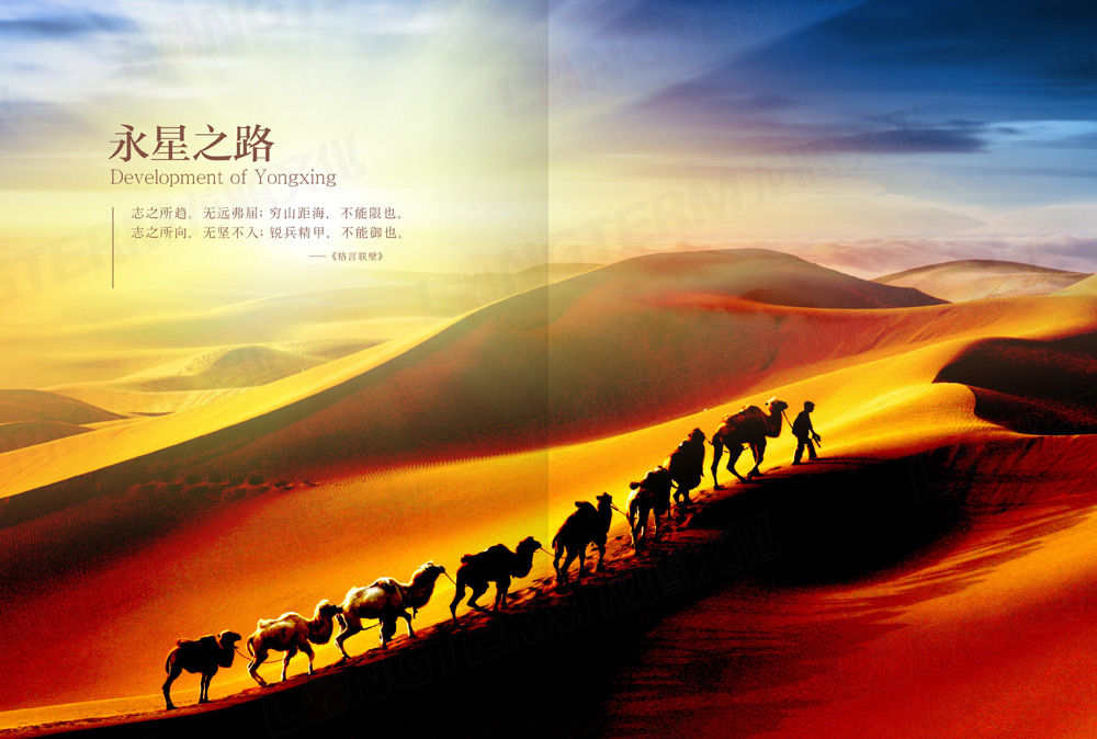 四川永星电子50周年纪念画册设计