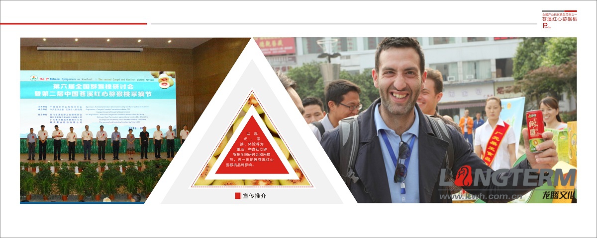 苍溪县农业局扶贫画册