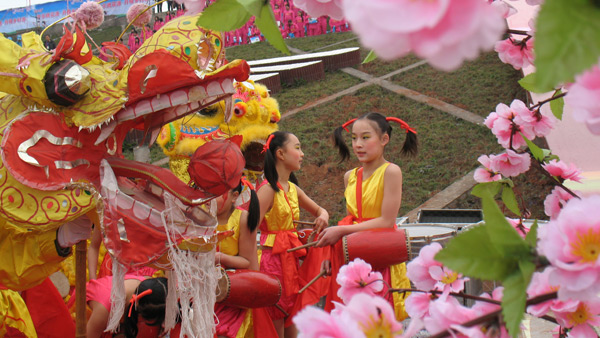 《齐乐桃花源 丹棱乡村游》城市节日活动策划