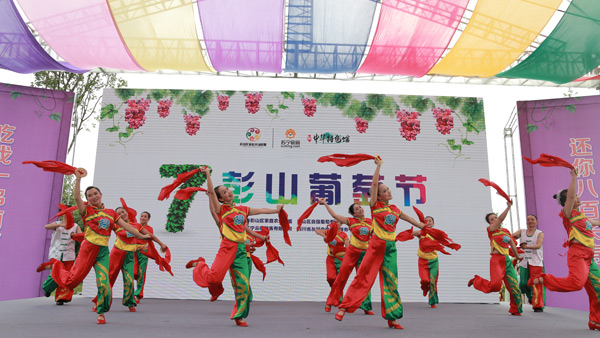 彭山葡萄节活动策划